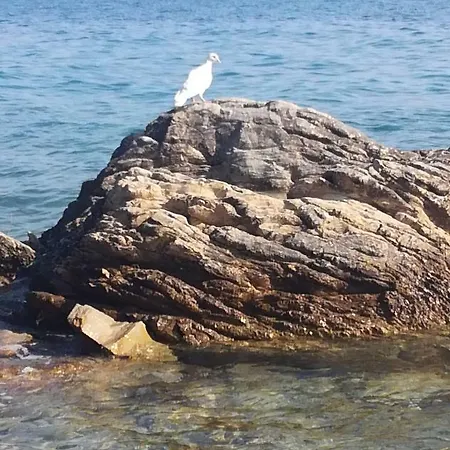 Antonia Nakic -stobrec * Split