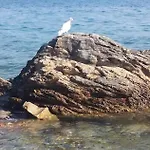 Antonia Nakic -stobrec * Split